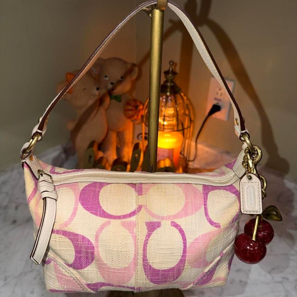 Coach Women's multi Bag